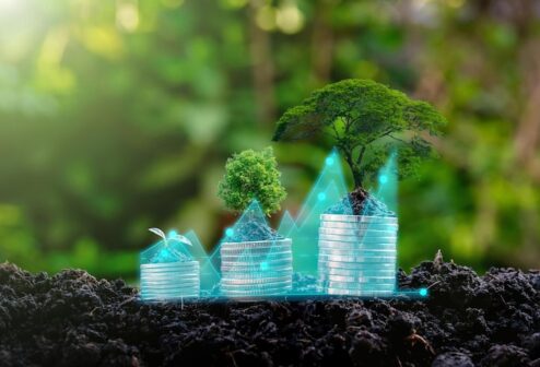 seedling-money-plant-growth-investment-profit-from-growing-business-concept_33807-1836 seedling-money-plant-growth-investment-profit-from-growing-business-concept_33807-1836